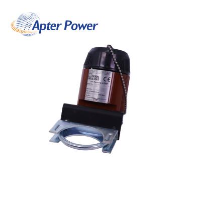 TRY/PRG/4-20MA/10-30DC
